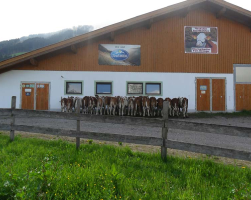 Bauernhof (2).jpg